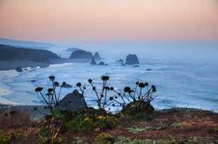 Above Bandon Beach-3105